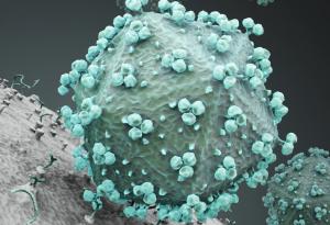 Учени пресъздадоха в епруветка начина, по който ХИВ заразява клетките
