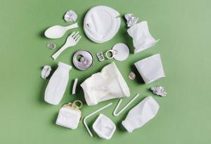 Грийнуошинг: икономически, политически и социални измерения