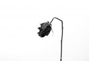 Юнг за самотата