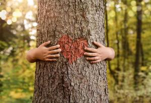 Как да възпитаваме децата да уважават природата