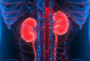 Проучване показва, че лекарството за диабет оказва положителен ефект и при хроничното бъбречно заболяване