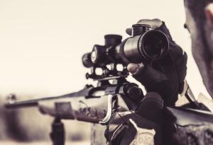 Ние, големите хищници