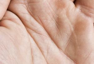 Ето за какво служат линиите на дланта