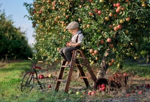 Никога не приемайте родителите си за даденост