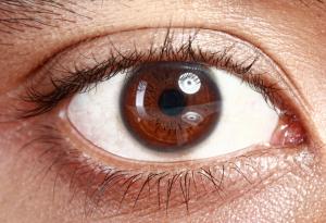 Сезоните влияят на начина, по който възприемаме цветовете