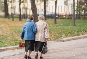 Виц: Демафиотизация