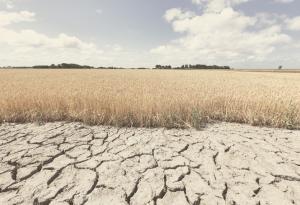 Защо 2020-та година е най-топлата в Европа