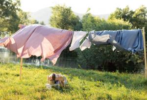 Защо прането мирише по-добре, когато е изсушено навън - под слънчевите лъчи?