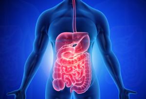 Проучване намери нови доказателства за връзката между затлъстяването и рака на стомашно-чревния тракт