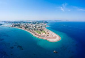 Откриха мъртъв кит, погълнал 15 кг пластмаса, на плаж на о-в Родос