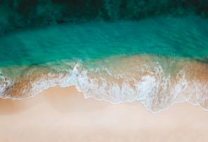 Цели морета са изчезнали заради придвижването на тектонските плочи