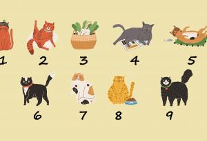 Забавен тест: Избери котка и научи своя тип характер