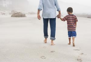 Виц: Какво представлява държавата