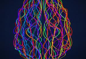 Дали сме добри хора или не е закодирано в нашия мозък