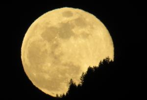 Този уикенд ще наблюдаваме Снежна суперлуна – една от най-големите за годината!