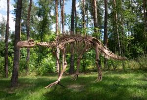 С 1000 зъба в устата