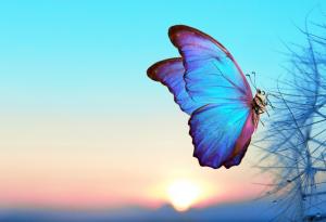 Защо понякога ни мразят без причина