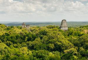 Откриха мистериозна цитадела, скрита в древен град на маите