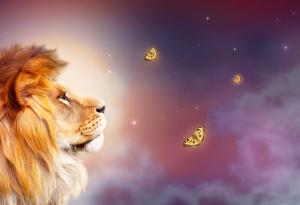 Емоционалното оръжие на 12-те зодии