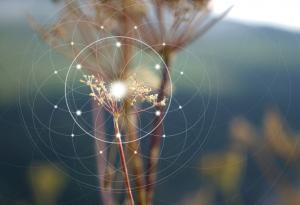 5 практики за изграждане на психическа устойчивост и преодоляване на тревожността - съвети от невролог