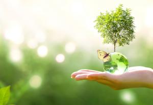 Защо правилата понякога са полезни