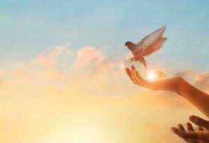 В нещастието няма друго лекарство освен надеждата: 20 цитата за трудни моменти