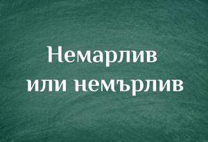 Как мислите: немарлив или немърлив