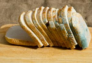 Не яжте „чистата“ част на мухлясалия хляб, не е безопасно