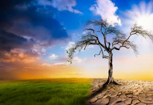 Налудничавите, но ефективни идеи за неутрализиране на замърсяването