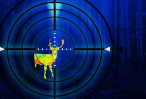 Как да изберем термо прицел?