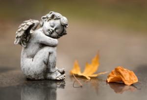  Нещата не винаги са такива, каквито изглеждат