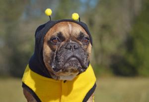 10-те най-омразни неща на всяка зодия