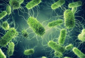 Наночастици, пренасящи салмонела, представляват ефективно антираково лечение