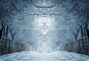 Оливия Гобети: както снегът, така и животът може да се опетни