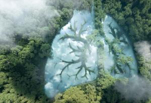 Как работи дишането