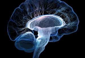 Нова терапия унищожава смъртоносен мозъчен тумор за няколко дни