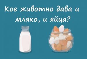 Можете ли да отговорите на тези 14 любопитни въпроса?