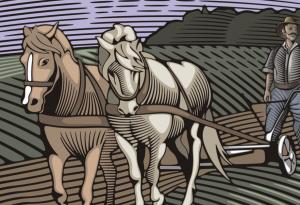 Притча за великана и орача