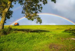 Съществуват 12 типа дъги