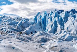 Патагонският леден дракон е изложен на риск заради топенето на ледниците
