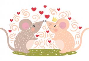 Не търсете човек, с когото да остареете