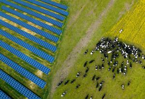 Какви са възможностите и предизвикателствата пред агриволтаичните системи в прехода към нисковъглеродна икономика?