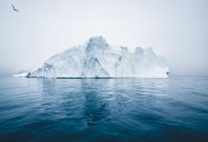 A23a, най-големият айсберг в света, може да изчезне през следващите месеци