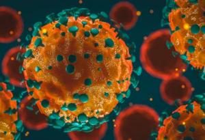 Антителата не са единственият белег за наличие на имунна защита срещу Covid-19