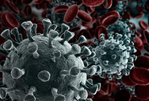 Откриха нов механизъм за разпространение на вируси в човешкото тяло