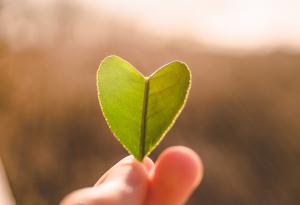 Халед Хосейни за истината