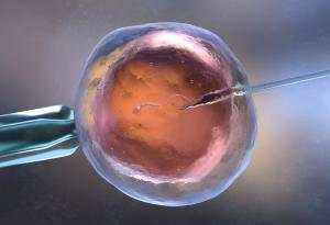 В Австралия се роди първото в страната бебе по метода CAPA-IVM - една по-евтина и безопасна алтернатива на инвитро