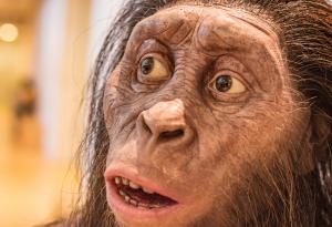 Австралопитекът не е консумирал месо: Ново проучване разкрива преобладаващо растителната му диета