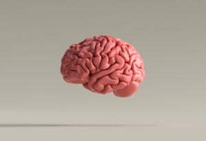 3-те механизма на мозъка, които ни помагат да разбираме думи, чувства и връзки