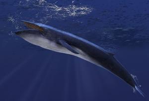 Най-голямото животно, живяло някога